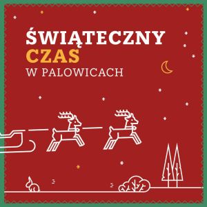 Świąteczny czas w Palowicach